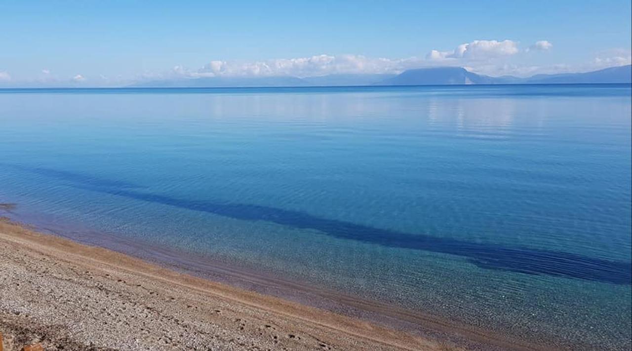 ホテル Castella Beach Alissos エクステリア 写真